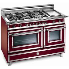 bertazzoni7